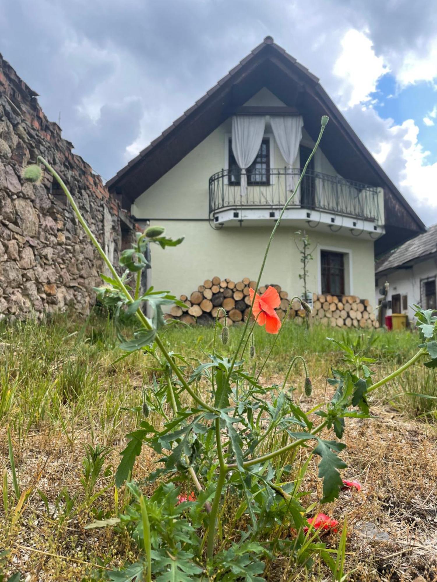 Chalupa V Hliniku Hlinik nad Hronom Exterior foto
